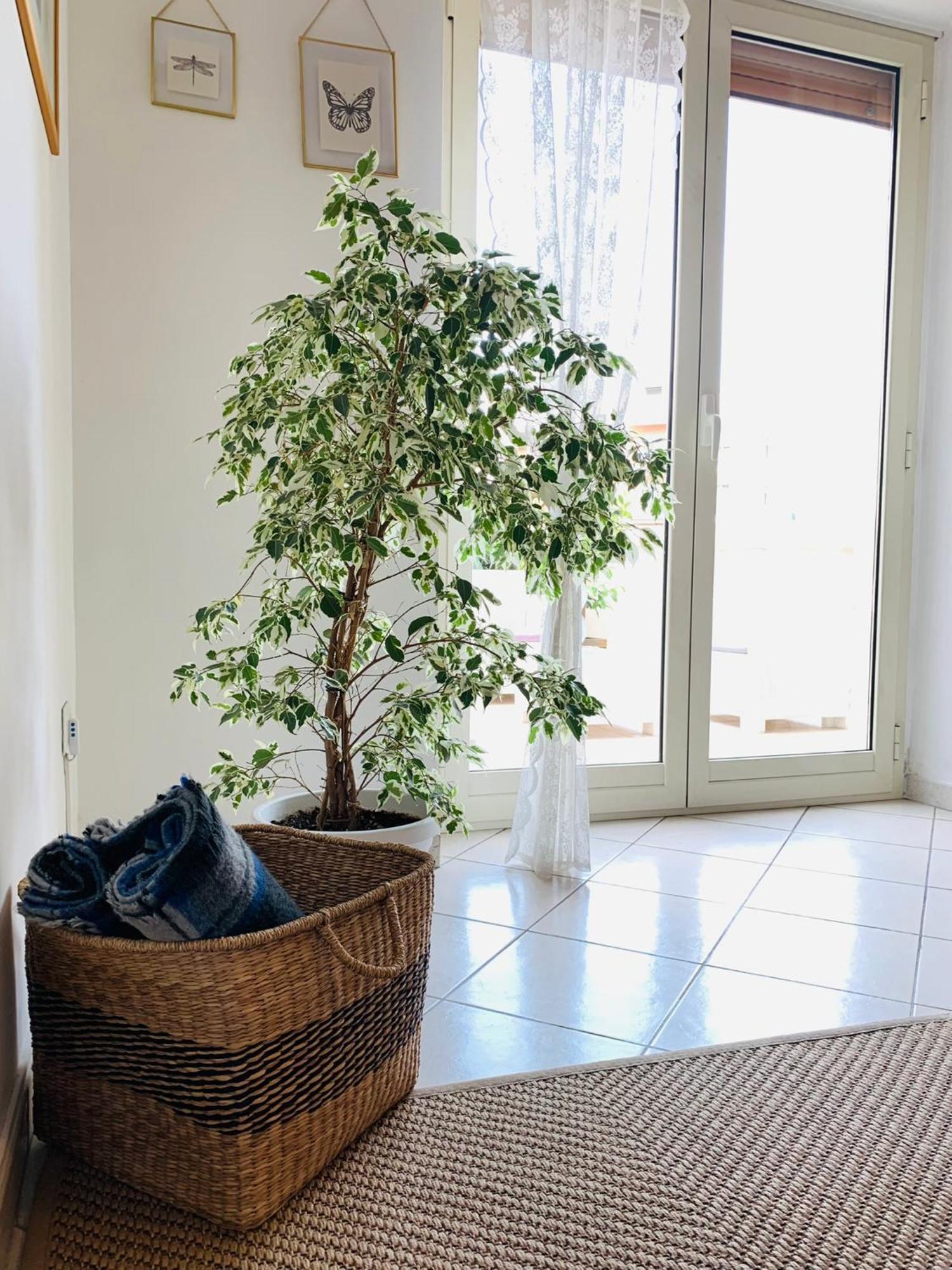 A Casa Di Carolina Apartment กัสซีโน ภายนอก รูปภาพ